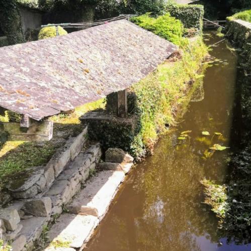 france/bretagne/rochefort-en-terre/lavoir