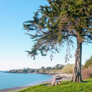 france/bretagne/saint-jacut-de-la-mer