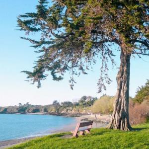 france/bretagne/saint-jacut-de-la-mer/plage-des-haas