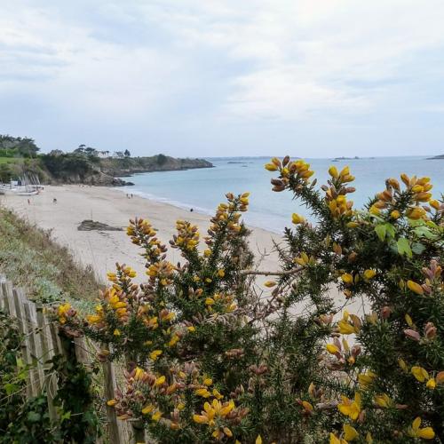 france/bretagne/saint-jacut-de-la-mer/plage-du-rougeret