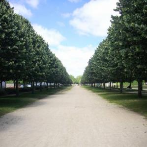 france/bretagne/vannes/promenade-de-la-rabine