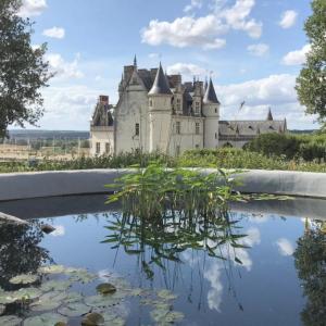 france/centre-val-de-loire/amboise/chateau-d-amboise
