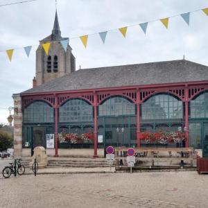 france/centre-val-de-loire/beaugency/halle