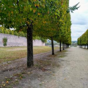 france/centre-val-de-loire/beaugency/petit-mail