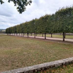 france/centre-val-de-loire/beaugency/petit-mail