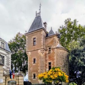 france/centre-val-de-loire/beaugency/tour-du-diable