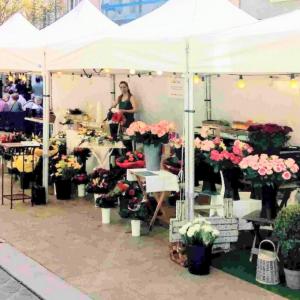 france/centre-val-de-loire/chartres/place-du-cygne