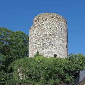 france/centre-val-de-loire/chateau-renault