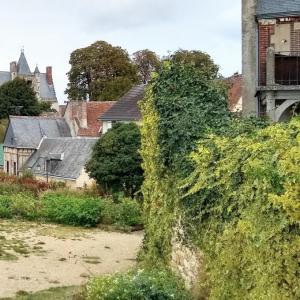 france/centre-val-de-loire/chateaudun/jardin-de-l-hotel-dieu