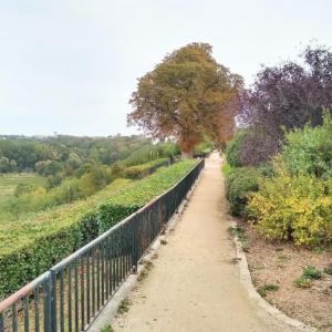 france/centre-val-de-loire/chateaudun/promenade-du-mail