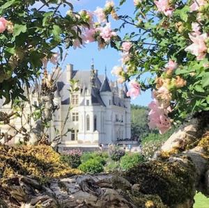 france/centre-val-de-loire/chenonceau