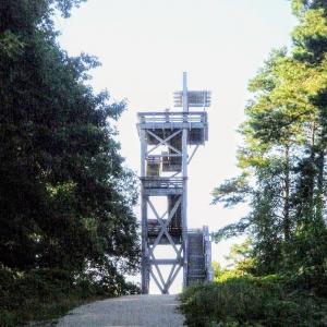 france/centre-val-de-loire/foret-d-orleans