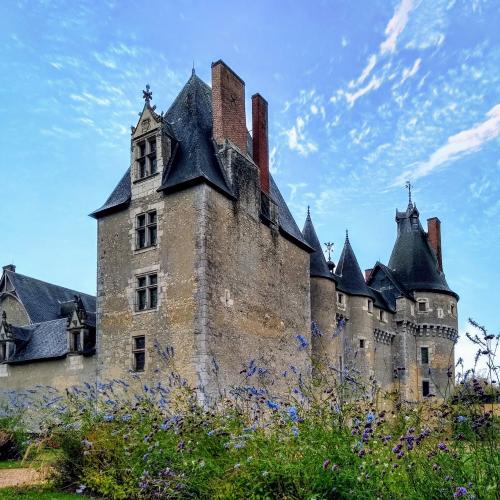 france/centre-val-de-loire/fougeres-sur-bievre/chateau-de-fougeres-sur-bievre