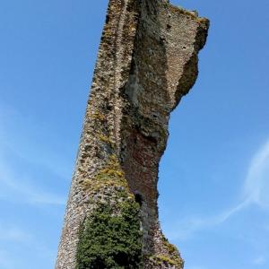 france/centre-val-de-loire/gallardon/tour-de-l-epaule