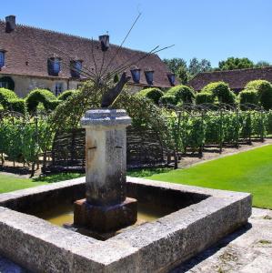 france/centre-val-de-loire/jardins-du-prieure-notre-dame-d-orsan