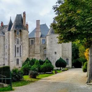 france/centre-val-de-loire/meung-sur-loire/chateau-de-meung-sur-loire