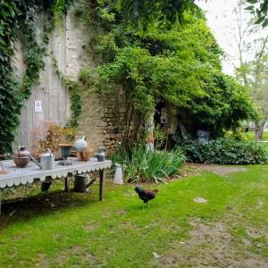 france/centre-val-de-loire/meung-sur-loire/jardin-de-roquelin