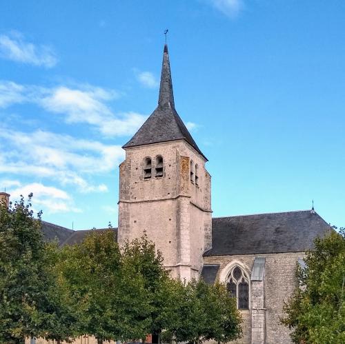 france/centre-val-de-loire/talcy/eglise-saint-martin