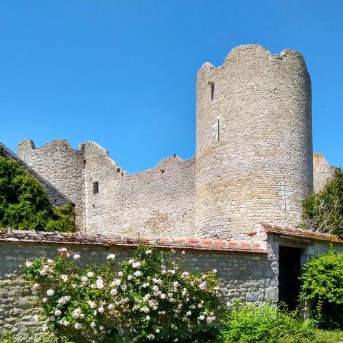 france/centre-val-de-loire/yevre-le-chatel/chateau-fort