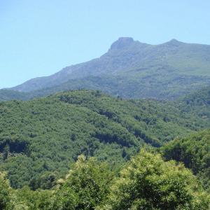 france/corse/castagniccia