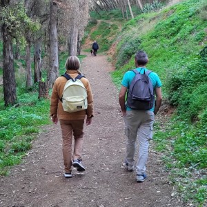 france/corse/cinarca