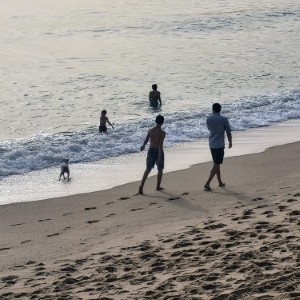 france/corse/plage-du-loto