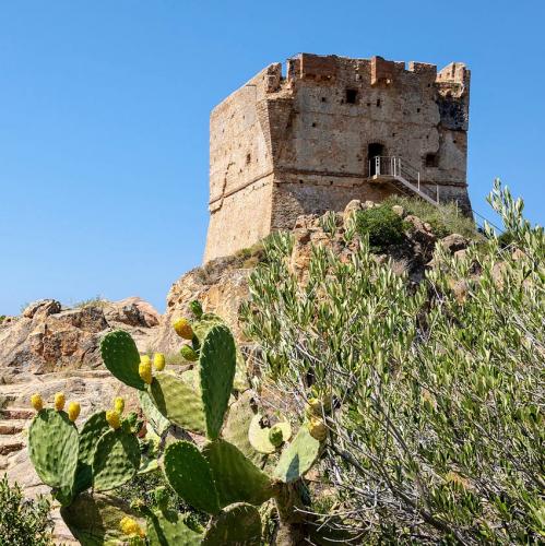 france/corse/porto-corse/tour-genoise