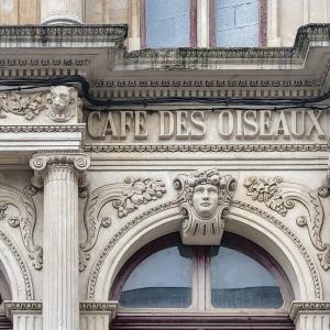 france/grand-est/bar-le-duc/theatre-cafe-des-oiseaux