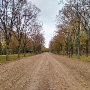 france/grand-est/chalons-en-champagne/grand-jard