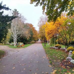 france/grand-est/chalons-en-champagne/petit-jard