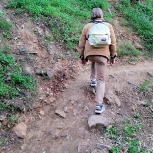 france/grand-est/champs-de-bataille-de-verdun