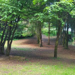 france/grand-est/charleville-mezieres/mont-olympe