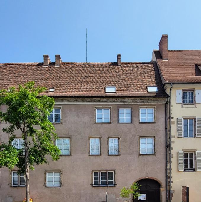 france/grand-est/colmar/musee-d-histoire-naturelle-et-d-ethnographie