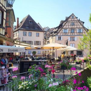 france/grand-est/colmar/quartier-des-tanneurs