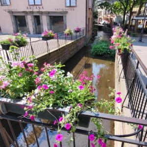 france/grand-est/colmar/quartier-des-tanneurs