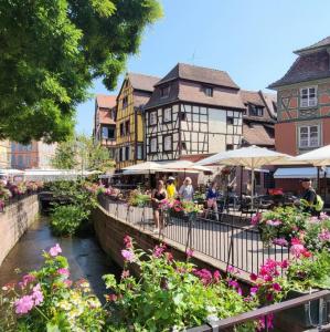 france/grand-est/colmar/quartier-des-tanneurs