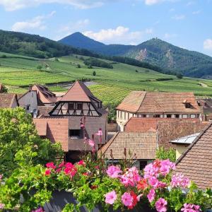 france/grand-est/route-des-vins-d-alsace