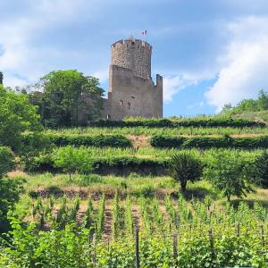 france/grand-est/kaysersberg/chateau