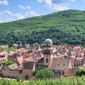 france/grand-est/kaysersberg/chateau