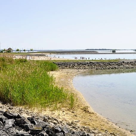 france/grand-est/lac-du-der-chantecoq/plage-de-nuisement