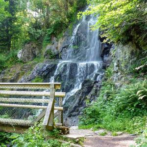 france/grand-est/le-hohwald