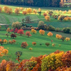 france/grand-est/le-sundgau
