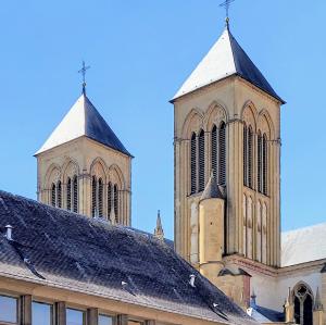 france/grand-est/metz/basilique-saint-vincent