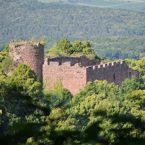 france/grand-est/mont-sainte-odile/chateau-de-lutzelbourg