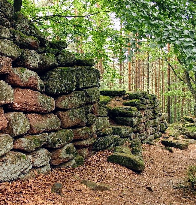 france/grand-est/mont-sainte-odile/sentier-du-mur-paien