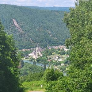 france/grand-est/montherme/roche-aux-sept-villages
