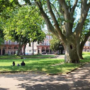 france/grand-est/mulhouse/square-de-la-bourse