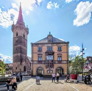 france/grand-est/obernai/place-du-marche