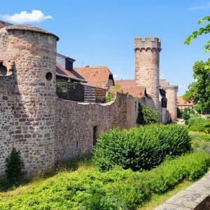 france/grand-est/obernai/rempart-marechal-foch