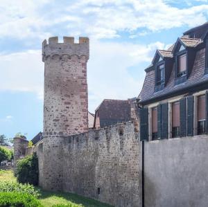 france/grand-est/obernai/rempart-marechal-foch